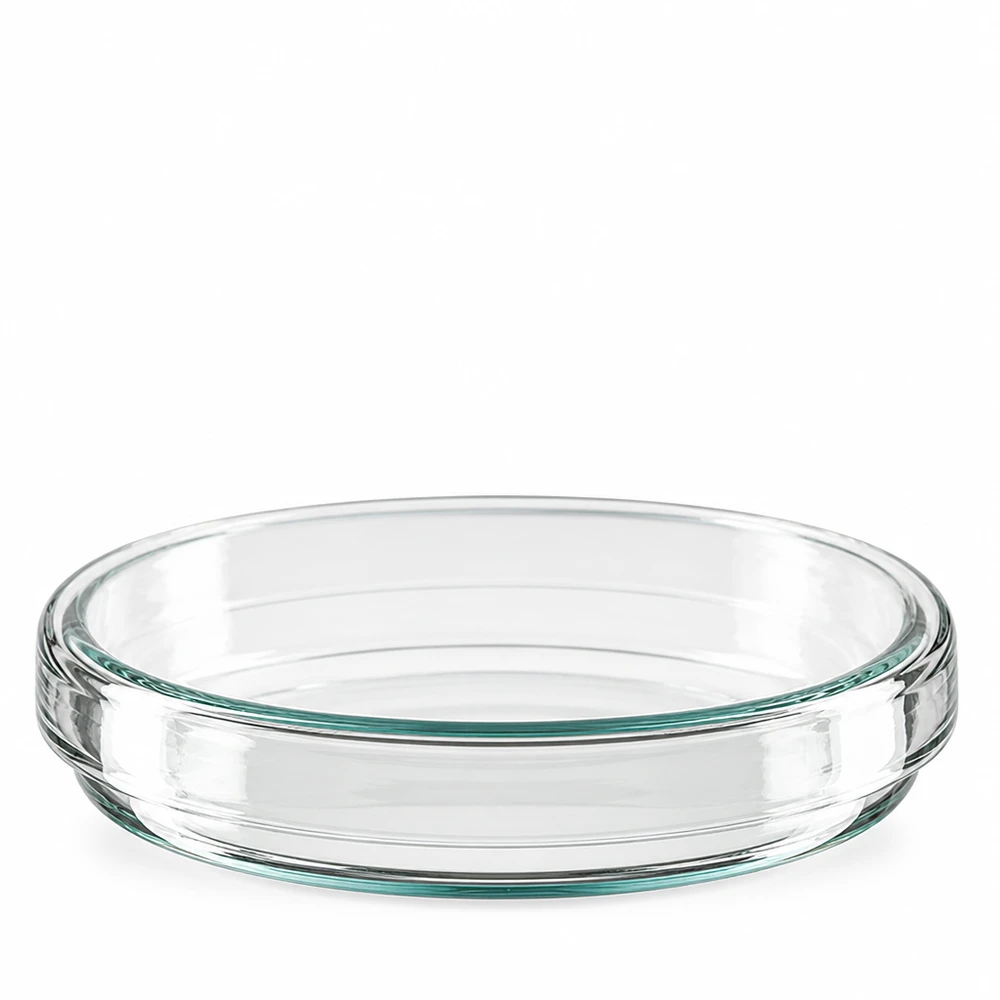 Petrischale 80x15mm Glas Petrischale 80x15mm aus Borosilikatglas für Labor und Gewerbe transparent und stapelbar