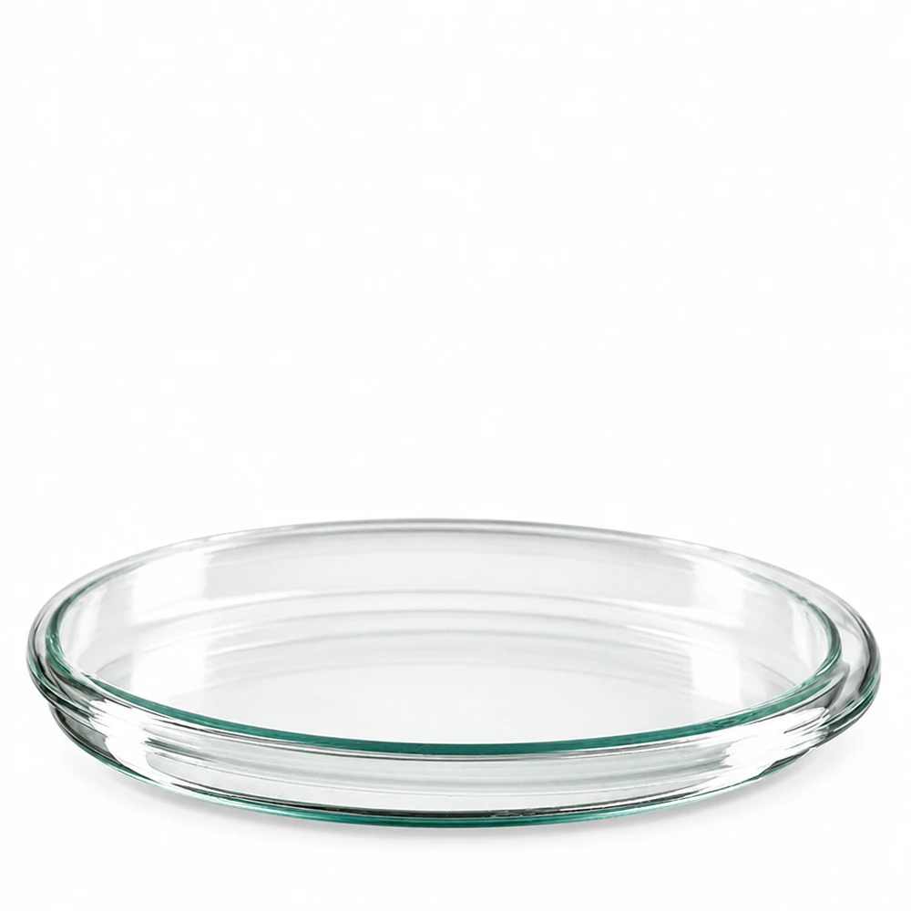 Petrischale 100x10mm Glas Petrischale aus Borosilikatglas 100x10mm für Labor und Gewerbe transparent sterilisierbar