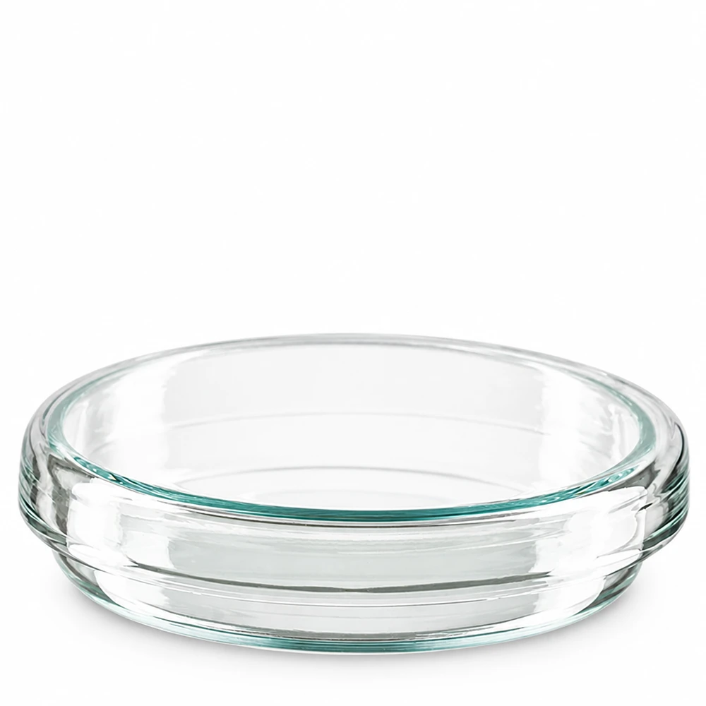 Petrischale 70x15mm aus Borosilikatglas für professionellen Laboreinsatz bei Pacadura.de