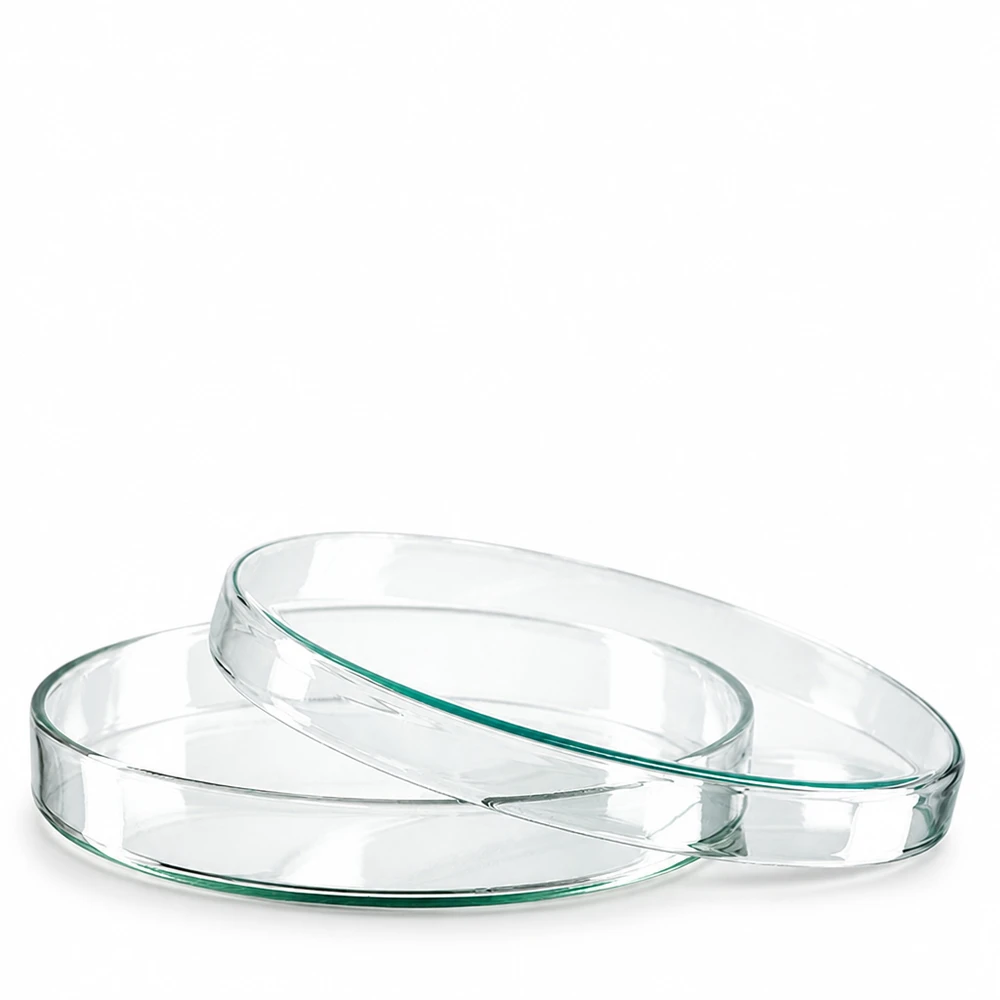 Petrischale 120x20mm Glas Zwei Petrischalen aus Borosilikatglas 120x20mm für Labor und Mikrobiologie professioneller Einsatz