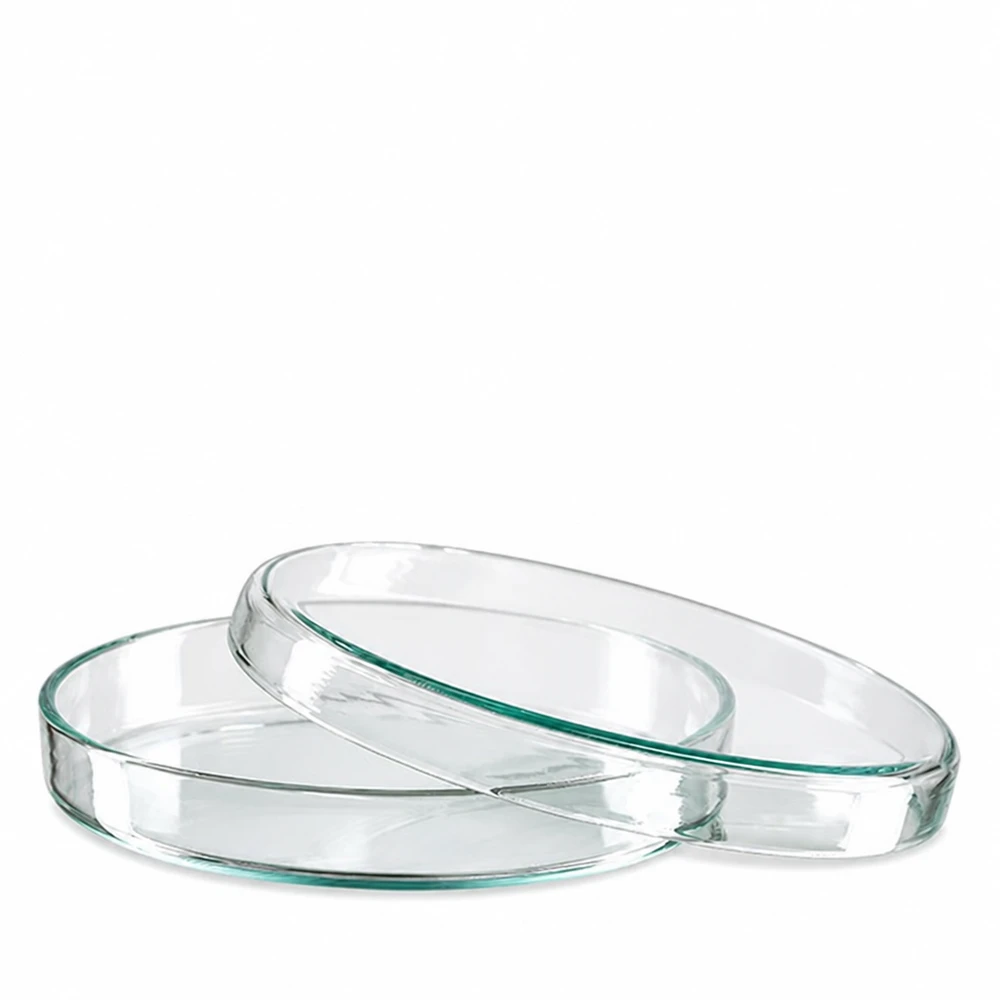 Petrischale aus Glas 90x15mm für den professionellen Laboreinsatz zwei gestapelte Schalen