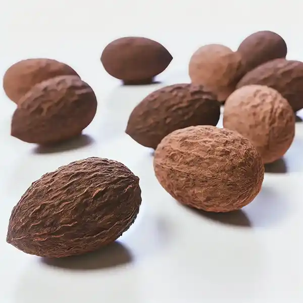 Sheabutter