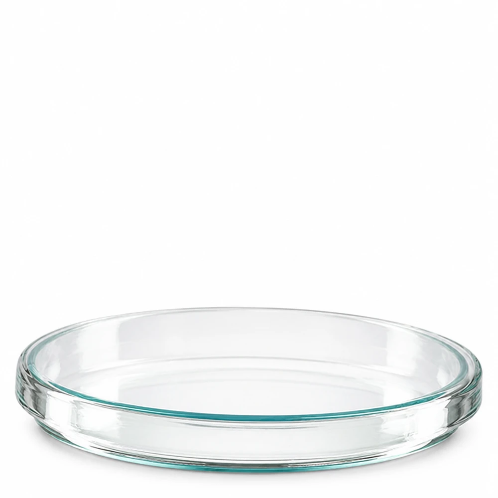 Petrischale 100x15mm Glas Petrischale aus Borosilikatglas 100x15mm für Labor und Gewerbe professionelle Glasschale