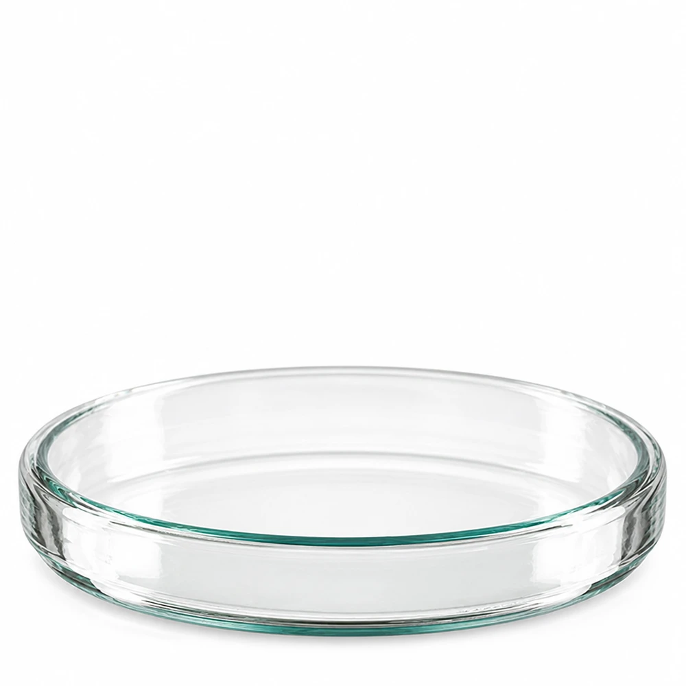 Petrischale 90x15mm aus Borosilikatglas für Labor und Gewerbe transparent und hitzebeständig