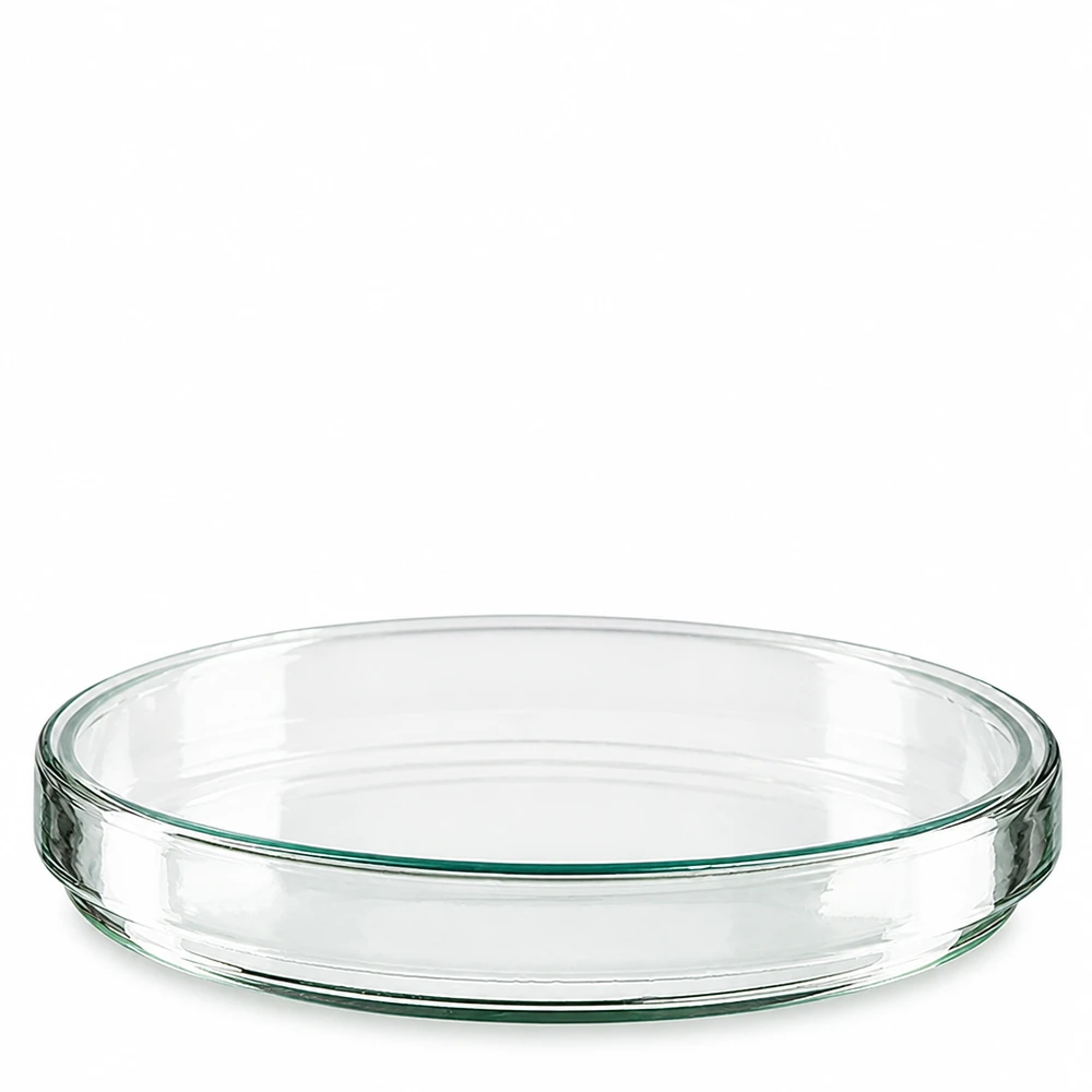 Petrischale 120x20mm aus Borosilikatglas für Labor und Gewerbe transparent und säurebeständig